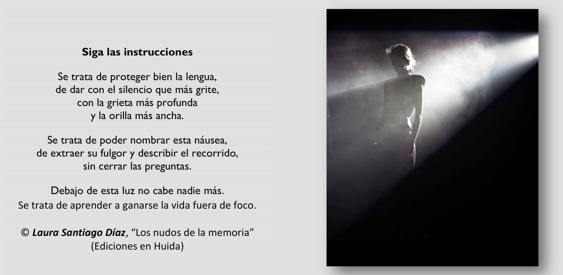 Siga las instrucciones